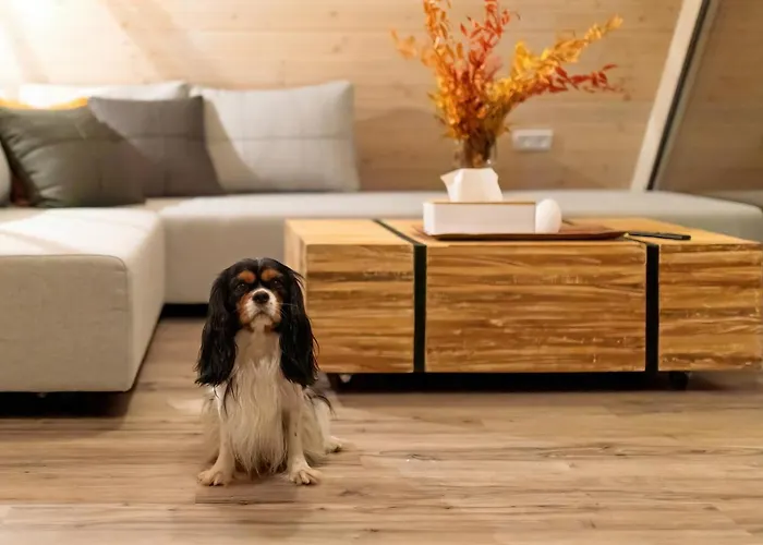 Woodparadise Hébergement de vacances